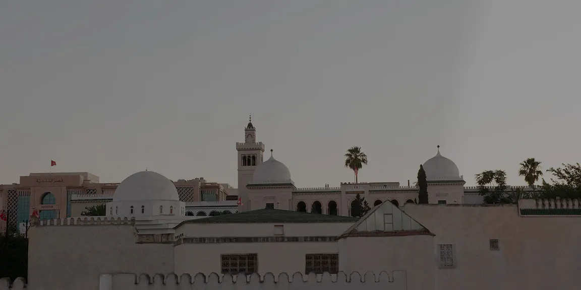 Toits blancs de la médina de Tunis et coupoles de mosquée au crépuscule
